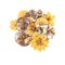 Prima Marketing Inc Prima Flowers® Diamond Collection - Colorful Beauty - 12 Pcs / 1.25-2 In 655350653262